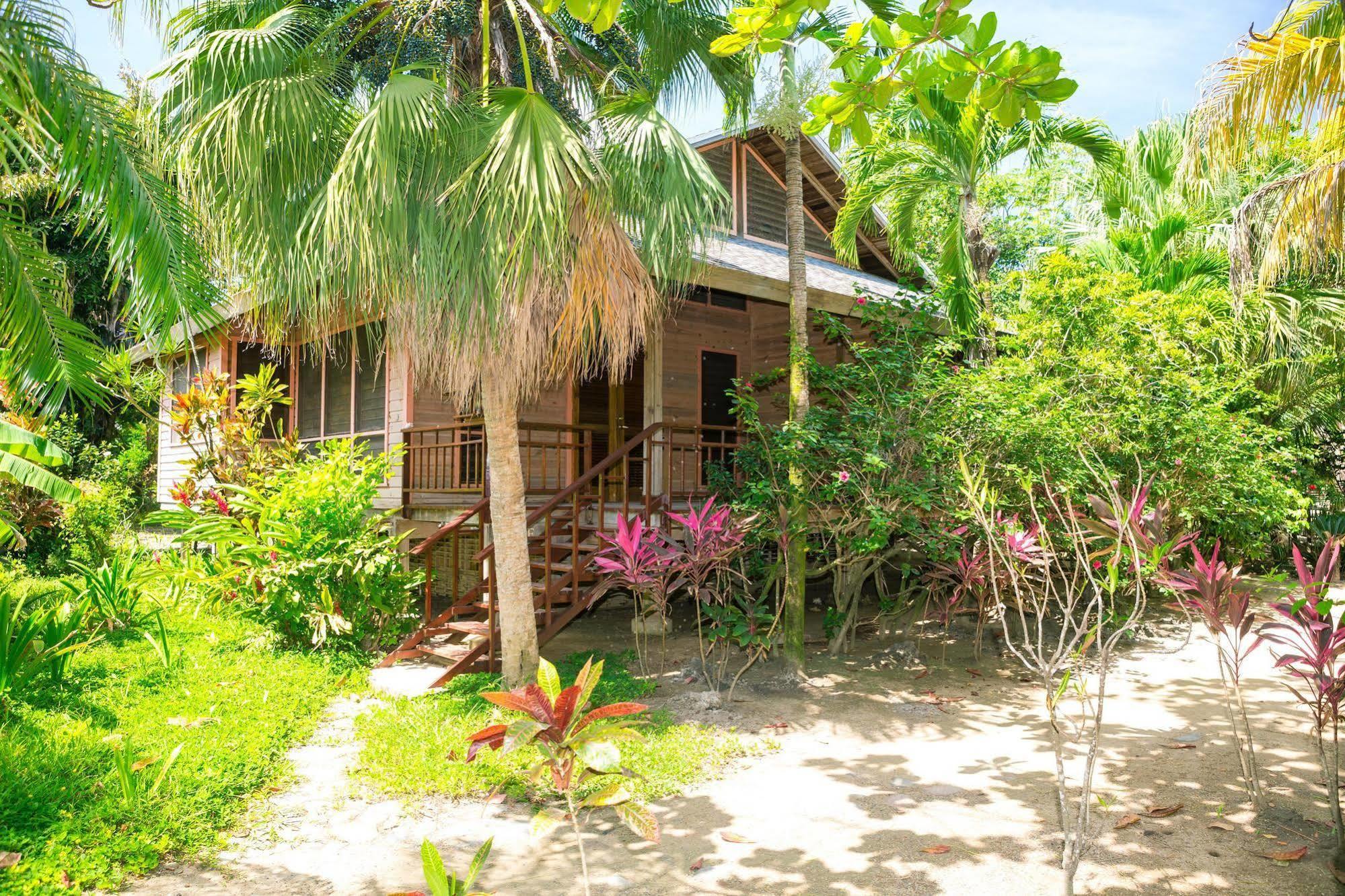 Casa Flores Palmetto Bay Екстер'єр фото