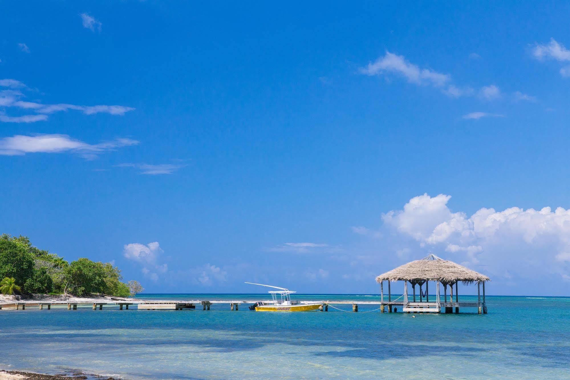 Casa Flores Palmetto Bay Екстер'єр фото