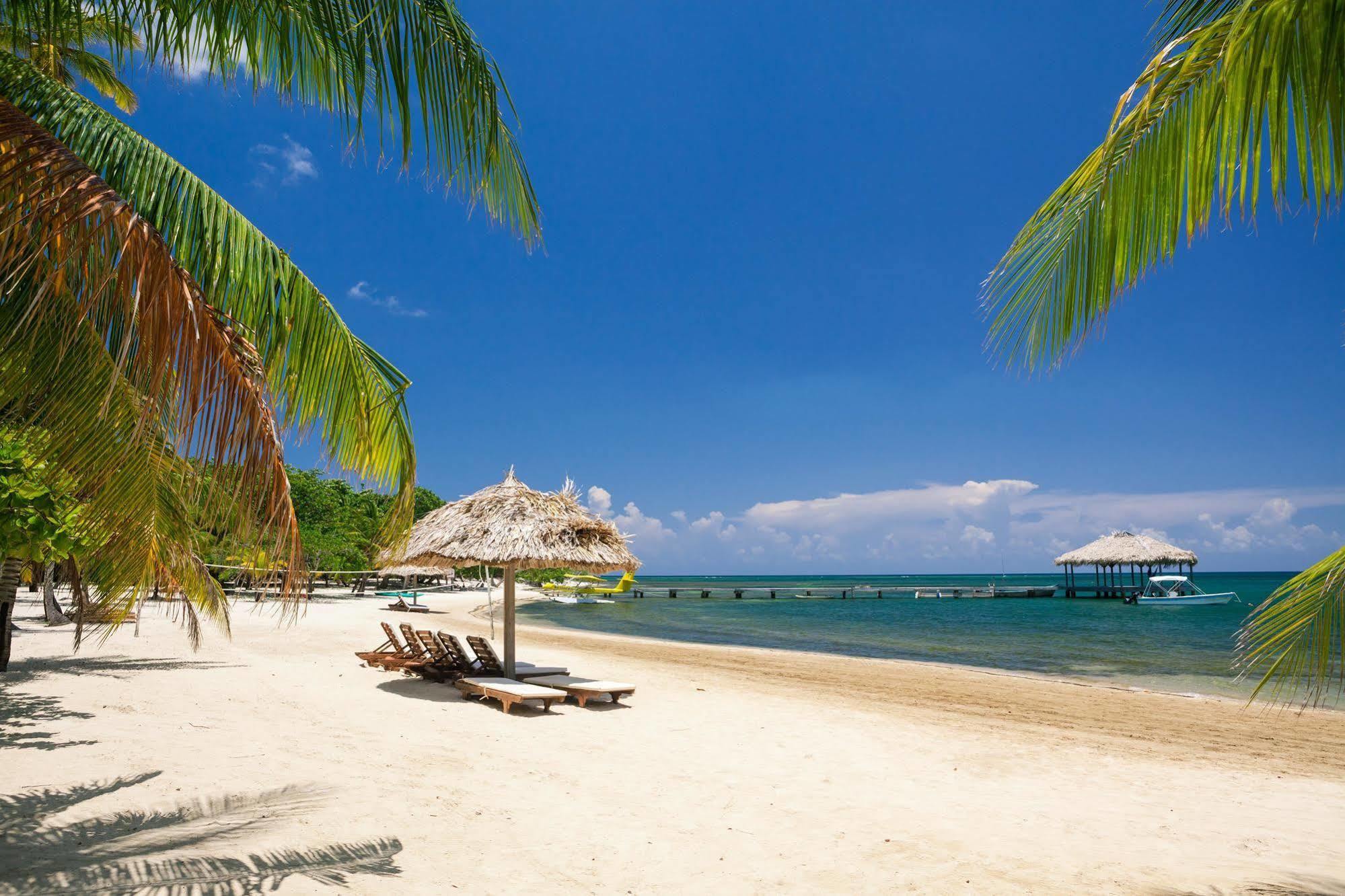Casa Flores Palmetto Bay Екстер'єр фото