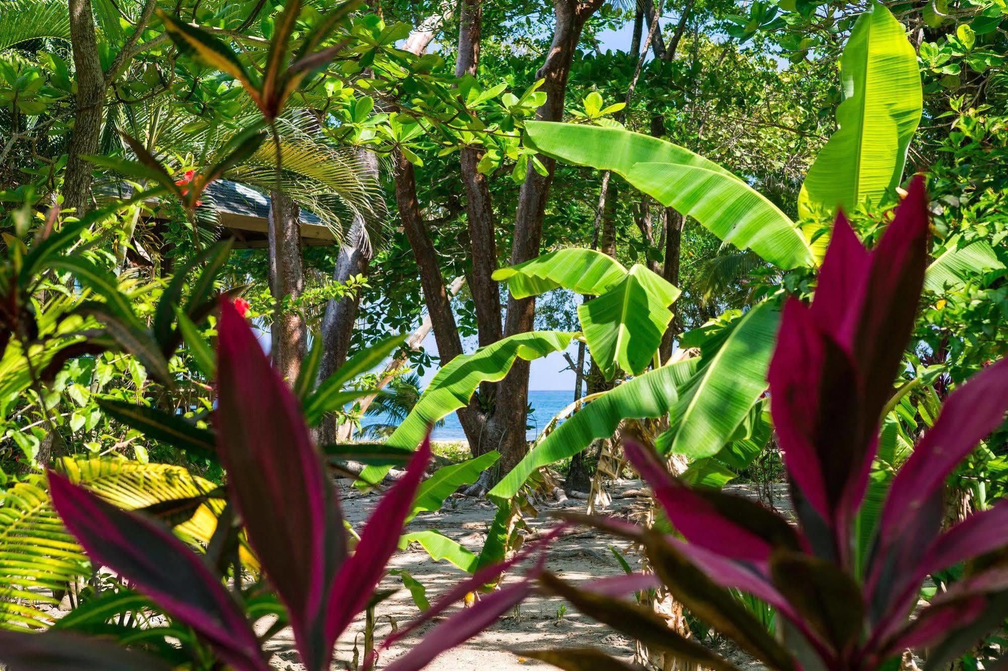 Casa Flores Palmetto Bay Екстер'єр фото
