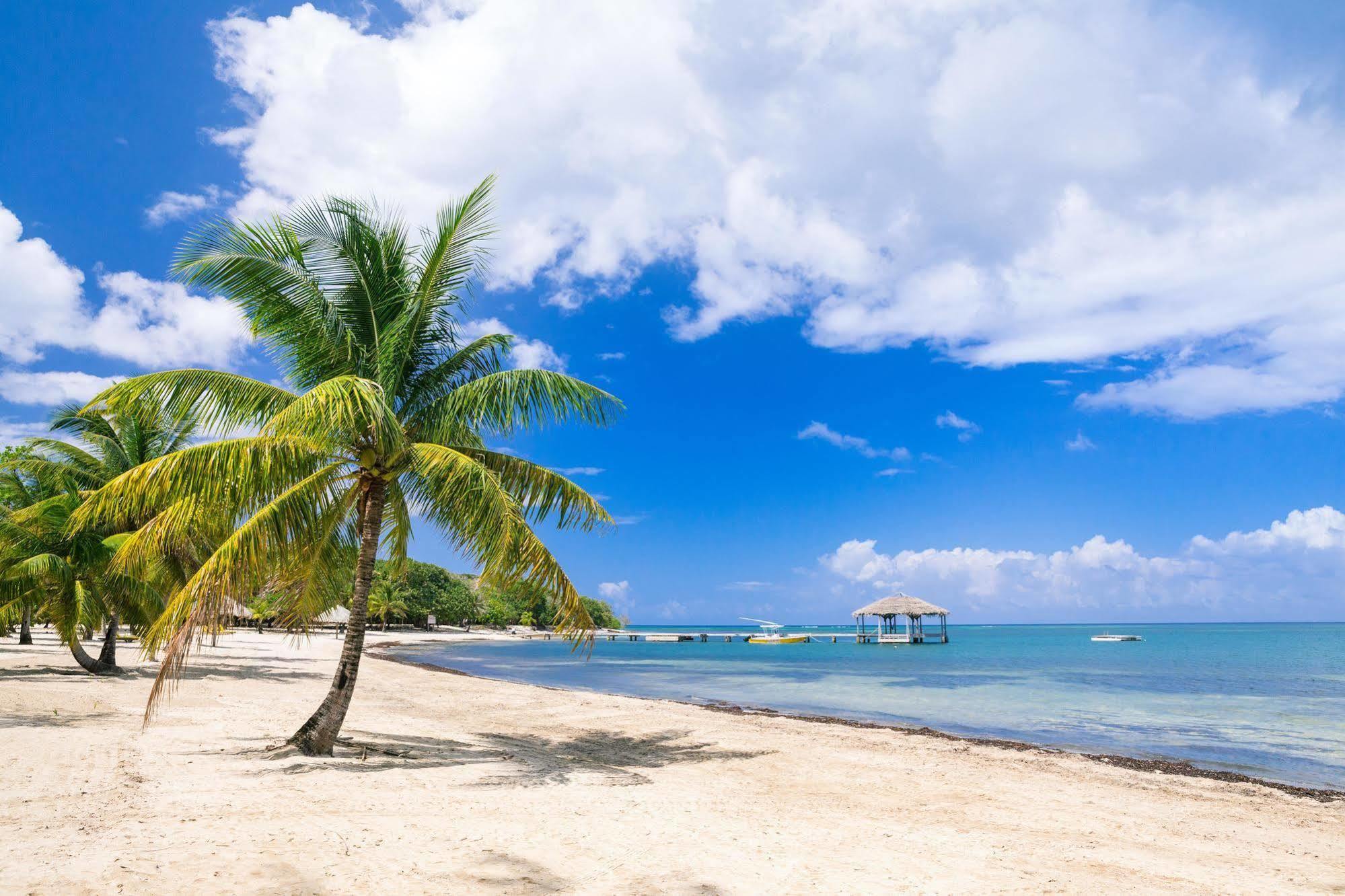 Casa Flores Palmetto Bay Екстер'єр фото