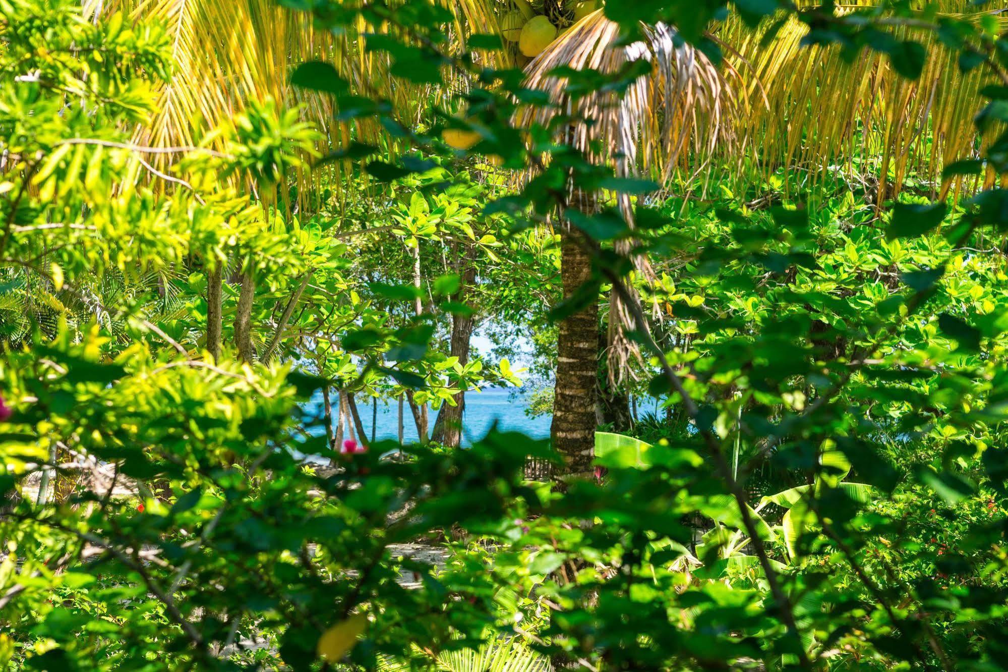 Casa Flores Palmetto Bay Екстер'єр фото