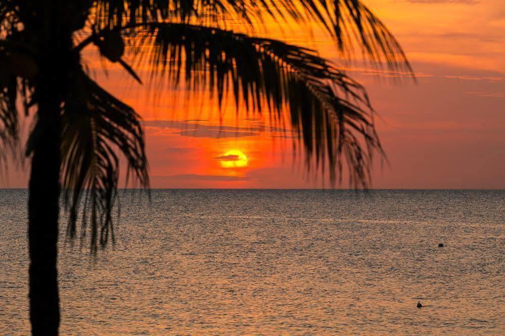 Casa Flores Palmetto Bay Екстер'єр фото