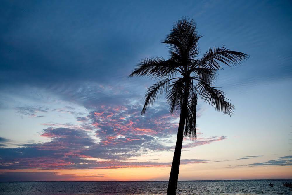 Casa Flores Palmetto Bay Екстер'єр фото